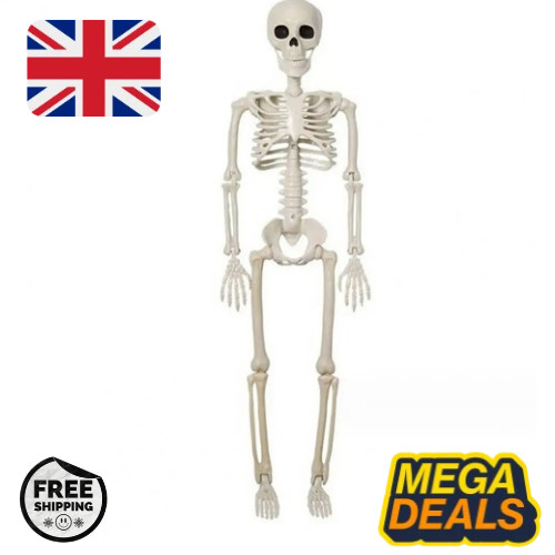 Giant life size human - size, skeleton