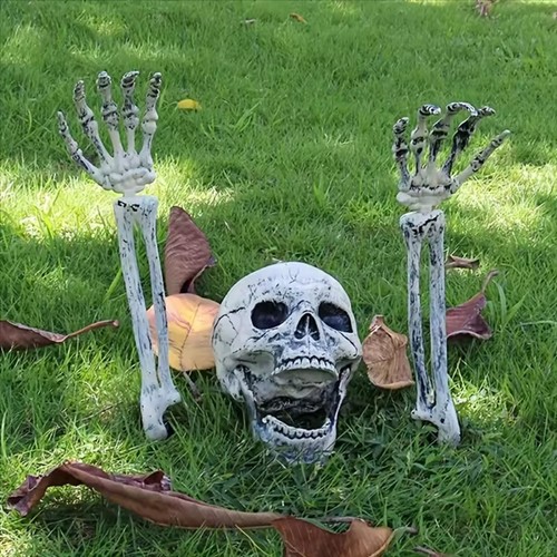 Human skull arm replica - human,