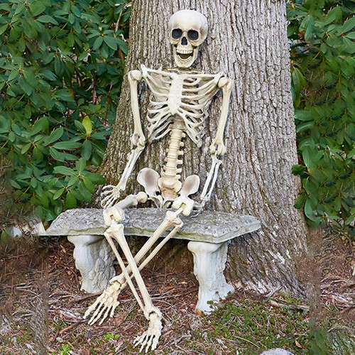 Life size human - human, skeleton