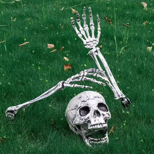 Human skull arm - human, replica