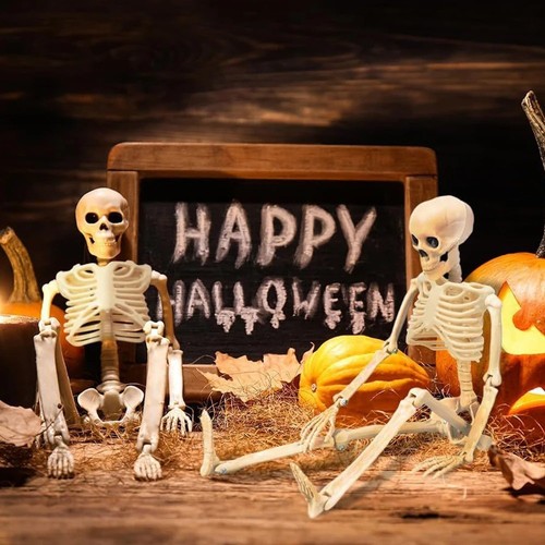 Giant life size human skeleton - giant,