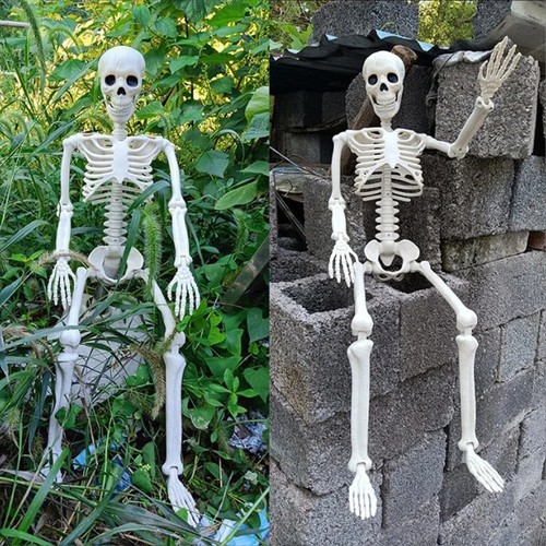 Giant life size human skeleton - life,