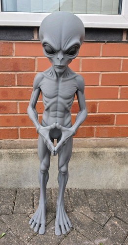 Life size grey alien - size,