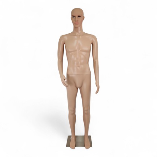 185cm male mannequin - full, body