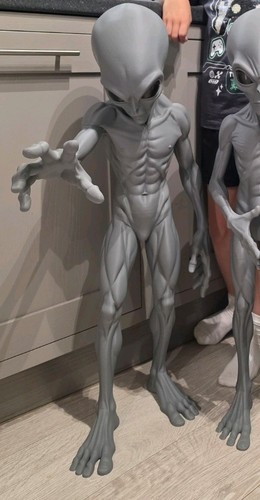 Life size grey alien - life, tall