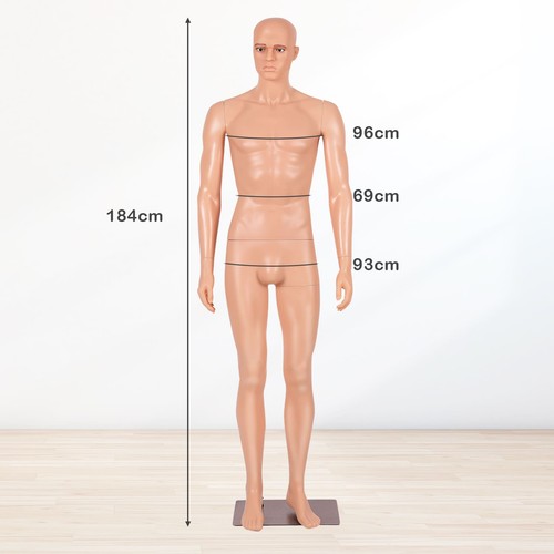 Color 184 male mannequin - cm,