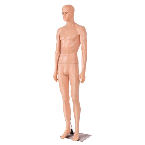 Life size male - male, mannequin