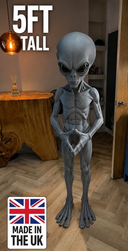 Huge life size grey alien - size, 5ft
