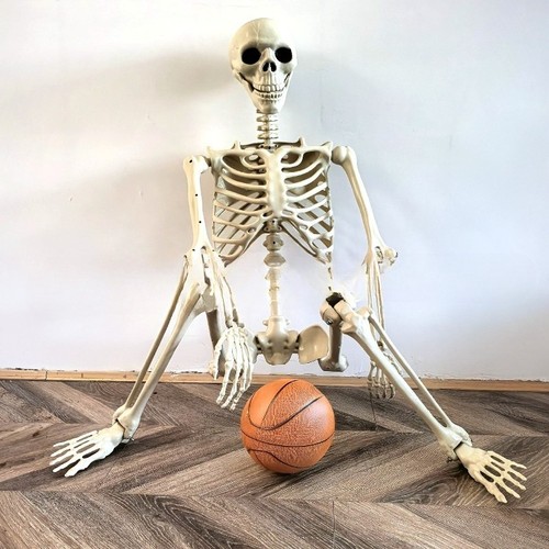 Giant life size human - life, skeleton