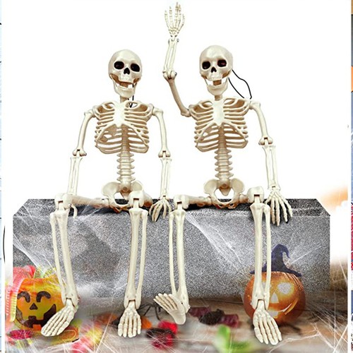 Giant life size human - life, skeleton