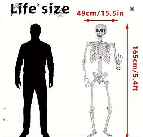 Giant child life size human - life,