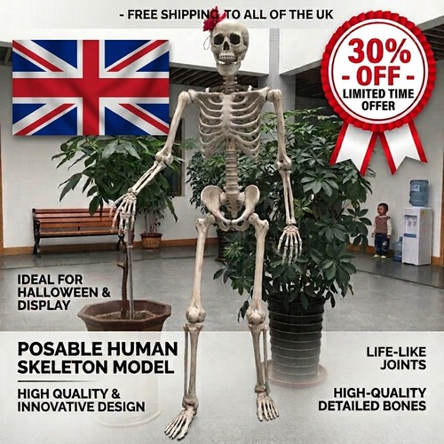 Giant life size human skeleton - size,