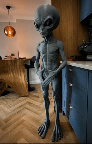 Life size grey - size,