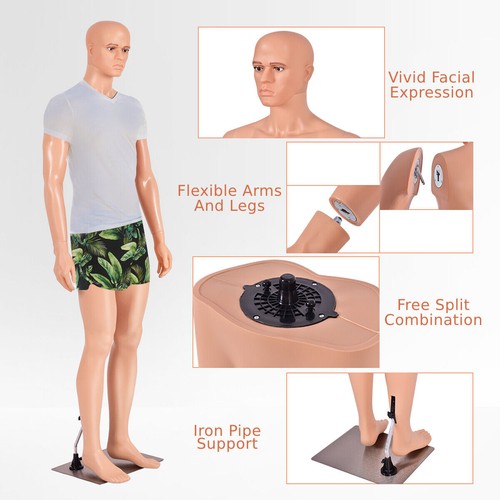 Life size male - life, mannequin