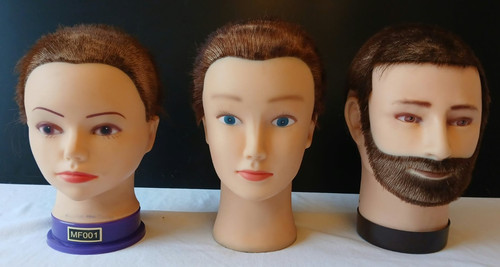 Life size mannequin - life, heads