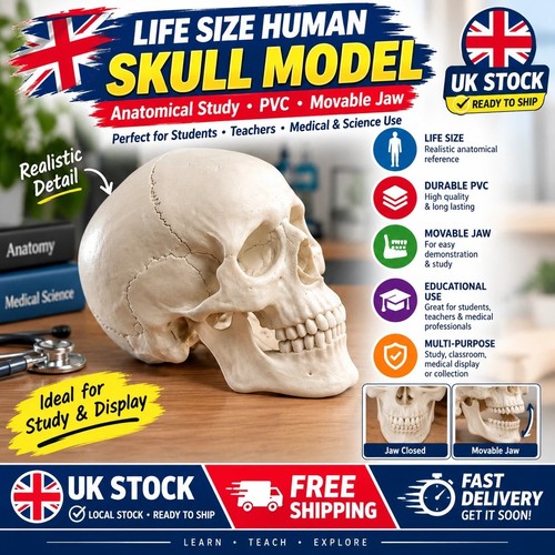 Life size human - life,
