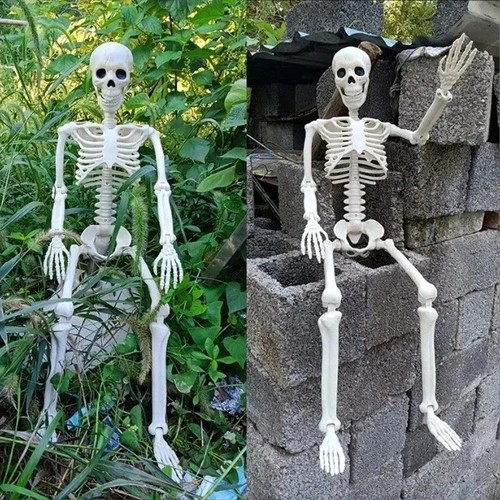 Giant life size human skeleton - size,