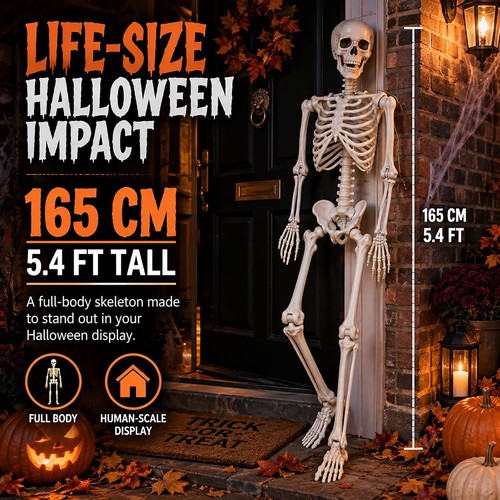 165cm life size human - 165cm,