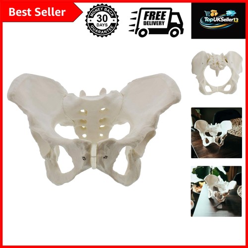 Life size female - life,