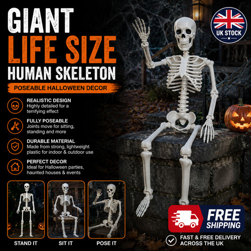 Giant life size human skeleton - size,