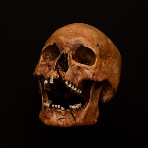 Human skull replica painted - human,