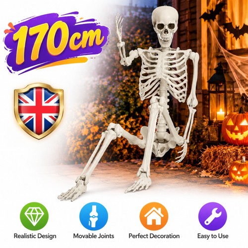 Giant life size human skeleton - human,