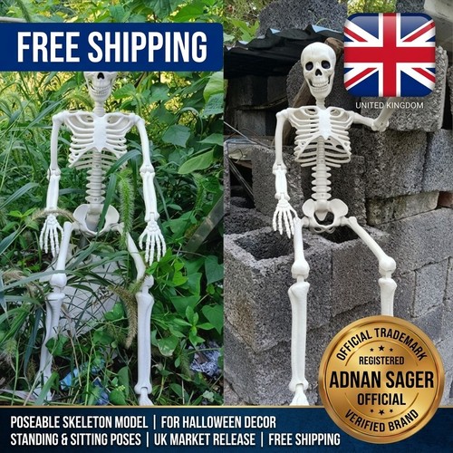 Giant life size human skeleton - giant,