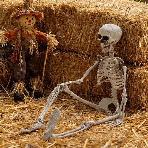 160cm halloween real life - 160cm,